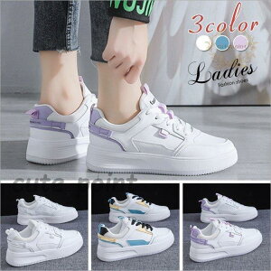 RtH[gV[Y V[Y fB[X Xj[J[ fB[XC JWA  ʋC t ^C C jOV[Y