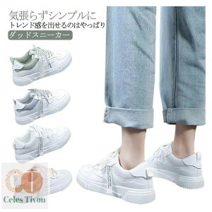 r yz r EH[LOV[Y fB[X y  Xj[J[ gAbv _bhXj[J[  