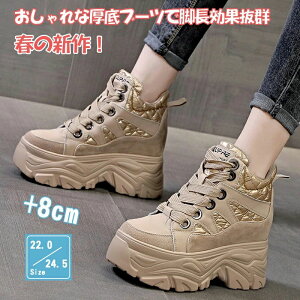 fB[X rA Xj[J[  nCJbgXj[J[ Xj[J[ t̐V fB[X Xj[J[ u[c 