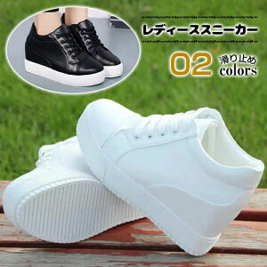 V[NbgV[Y fB[X X|[c Xj[J[ 傫TCY C V[Y   [JbgJWA Xj[J[