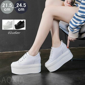 Xj[J[    Cq[ Xj[J[ [XAbv  ҂ݏグ f Xj[J[ fB[X V[Y Xj[J[