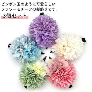 wAANZT[ wbhhX    uC_ ANZT[ ԏ   EGfBO 3_Zbg 