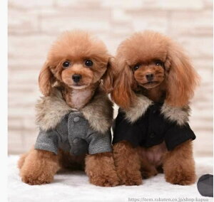 ۉ U t@[ݕt H  ^ p ybgp ybgEFA  o| s h L  ^ ~