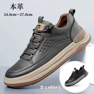 Xj[J[ [JbgV[Y AEghA jC {v Y Ȃ U[V[Y fbLV[Y ₷ JWA