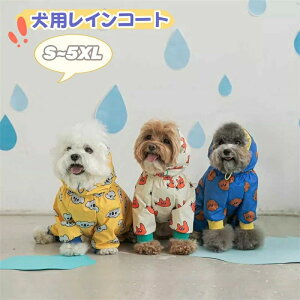 pCR[g ^ ^ hbO CEGA p yzCR[g  ^ ybgCR[g C