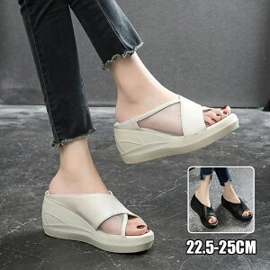 L fB[X T_  Xbp fB[X ~[[V[Y ؍t@bV T_ ʋCz 