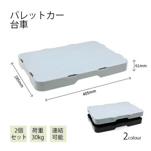 ���� ��� �ω׏d30kg ��40×���s28.5×����6.1cm(1�䂠����) �L���X�^�[���ڗ����Ȃ� 2�Z�b�g �A���\ �p���b�g�J�[ �^����