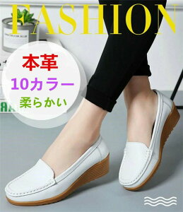 JV EFbW\[ {vfB[XV[Y JWAC p ؂񂱃V[Y Xb| OL ʋ Ōt