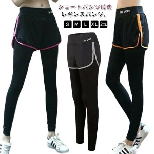 V[gpctM fB[X V[gpč^ V[gpctMX KMX K KEFA MX