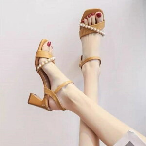 ~hq[ ₷ ꂢ JWA  T_ ČC T_ AN Xgbv fB[X T_ C