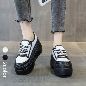 sA C JWA ~ r  8cmq[ fB[XC t@bV ₷ ʊw Ȃ Xj[J[