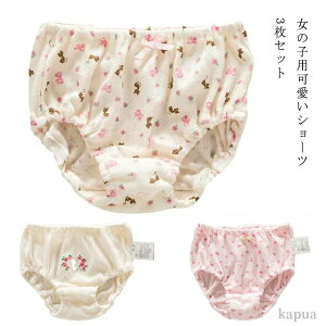 Ci[ V[c ʋC  炩 3g  LbY ۈ牀 pc  LbY sN 3Zbg  ̎q