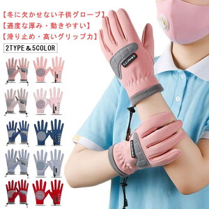  qp LbY t[X h  hO[u  LbY X|[c g h X}z N h  XL[