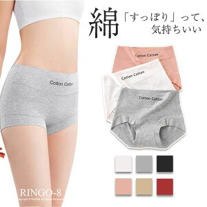  ̉ Rbg {NT[pc pc V[gp fB[X  {[CYbO fB[X