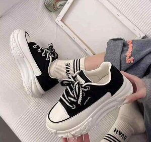  Xj[J[  g I ؍n ^C    oCJ[ 5cm q[ kawaii j[N C [Jbg X