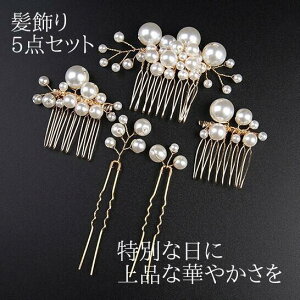  U Ǝ l  p[ wAs R[  񂴂 5_Zbg 