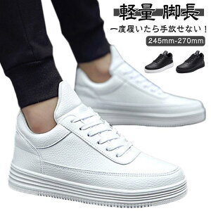 JWA 6cm am gAbv  fB[X 8cm 10cm Y V[NbgV[Y Cq[ V[Y Xj[J[ r