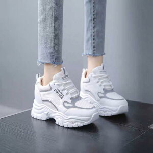 Xj[J[ ꂢ nCJbg ؍n  ^C fB[X _bhXj[J[ O[ IW ubN y bV