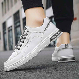 Y Xj[J[  Vv U[Xj[J[    ؍n ^C g₷ 킹₷  X