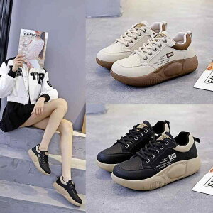 Xj[J[  oCJ[  ؍n  N V[Y fB[X  ubN  zCg ۂ IV ^