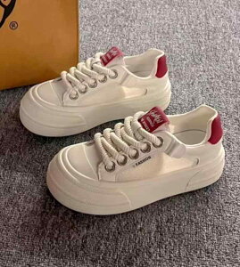  Xj[J[ ؍n I TChbV   ^C oCJ[ x[W  bh J[L ANZg w