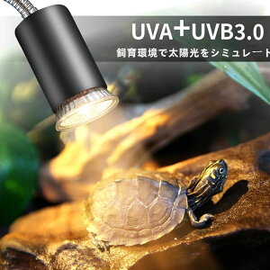 T iK [ ঒ރCg ޗpCg +Cg  TCg q[^[ M?M 25+50+75AiOz 悠]