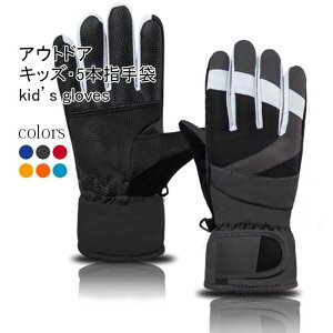 ۉ Ԃ AEghA  j q h Xm[{[h  LbY XL[ ܖ{w N yzXL[O[u 