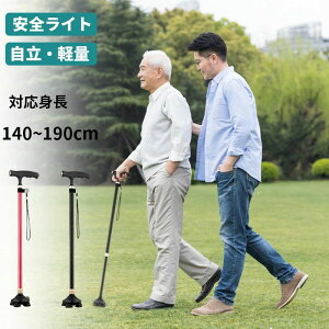 Lk p Lk ~ XebL jp  y ߉\ LEDCgt  10iK  RpNg