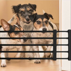 y悠z @\ ybgtFX K[ u J p[e[V sv  Eh~ ybgQ[g S