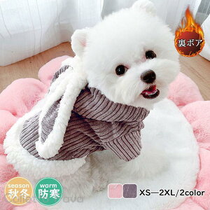 Ȃ ybg ~ ^ hbOEFA t[ht ^ N ybgEFA  ۉ h LN^[  H {A