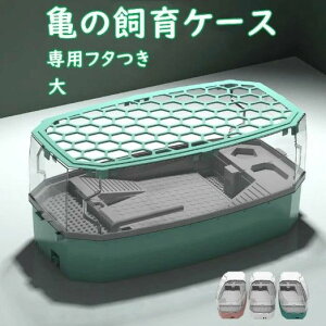 ڂ XΎ΂ J̐ |v Eoh~tFX W J̎P[X P[X ^[g^N 傫 GTM