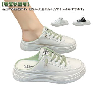 t  Xj[J[T_ ƂȂT_ H Xj[J[ fB[X  JW ƂȂXj[J[ T{T_