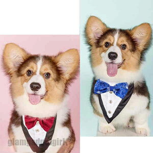 `[J[  ^ Op ANZT[ ^ L [X ^ ߂ V t  ybgpX^C