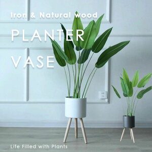 ACA VR ؐ k t[x[X v^[x[X t