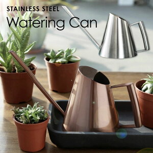 XeX uY KтȂ k AeB[  ~j