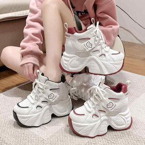  10cm Xj[J[ ^C fB[X ؍n  _bhXj[J[ bh ubN zCg bV ʋC h 