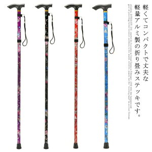  y RpNg  s⏕ Lk   hV̓ j jp  A~   ܂肽 