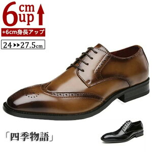 {vV[NbgV[Y Y  gAbv6cm up6cm q[Abv gup w  rWlXV[Y {