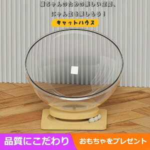  LbgnEX L AN lGΉ Lp Xy[XJvZ^   lRxbh t V^ 