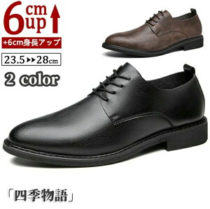 V[NbgV[Y Y  gAbv6cm up6cm q[Abv gup w  rWlXV[Y puv C