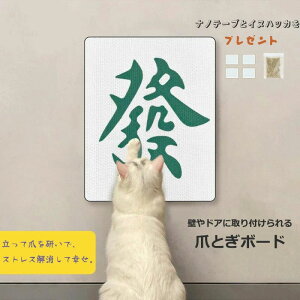 Lp  {[h XgX LȂ  ܌ Lpi ߂Ƃ lR  Sf ܂Ƃ _{[ L ǂɏ