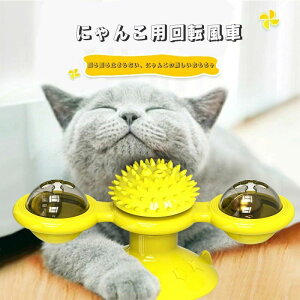 ˂pgC Lp  ]  L ߋ LbggC L  ˂ ] 肱ڂ  bNX