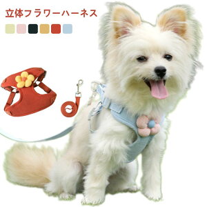 [ht ybg lR Ck  EFA \tgn[lX L  Zbg [h 킢 ̃t[ ^ n[lX 