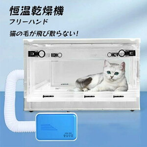 ybg É EL@ ybgphC[ }P[X  ybgphC ybghC[  L  ybg@