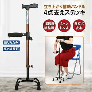 ⏕nh s⏕l_[^Cv  ܂肽 10iK\ hV̓ y 4_ XebL 쎩 `FA[