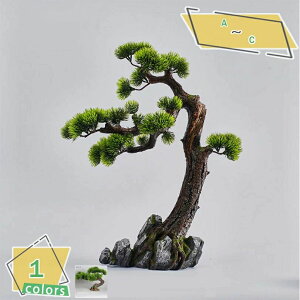 ~  lH  lHϗtA  ~ A tFCN ԂƃItBX̂    A tFCN Wjp[ A