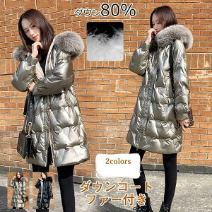 _E80 JWA  _ER[g AE^[ fB[X t[ht ꂢ hh gbvX  t@[t