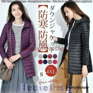 ~fB O_E AE^[ y n _ER[g t[ht ~h ~ 傫TCY  fB[X aC Vv