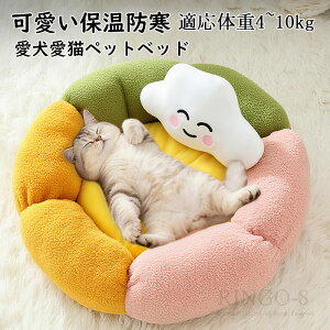 薰 nEX N[V xbh ~ Ԍ^ ی^  ӂӂ g _̖t ybgxbh lRxbh