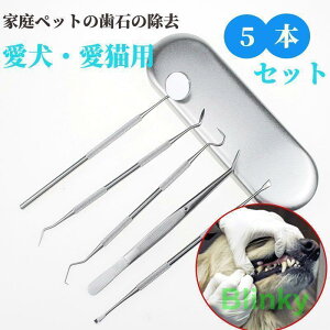 Ώ (L)  `(`)^C tbg^Cv ybg ^Cv pXP[[ Ύ oPA 񂿂 